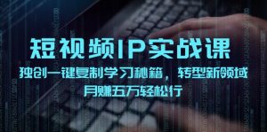 (12193期)短视频 IP实战课,独创一键复制学习秘籍,转战新领域,月赚五万轻松行-网创资源站