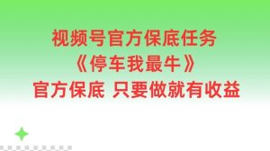 视频号官方保底任务，停车我最牛，官方保底只要做就有收益【揭秘】-网创资源站