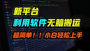（12203期）B站平台用软件无脑搬运，月赚10000+，小白也能轻松上手-网创资源站