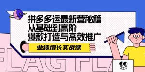（12260期）拼多多运最新营秘籍：业绩 增长实战课，从基础到高阶，爆款打造与高效推广-网创资源站