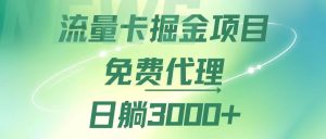 (12321期)流量卡掘金代理,日躺赚3000+,变现暴力,多种推广途径-网创资源站