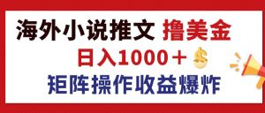 （12333期）最新海外小说推文撸美金，日入1000＋ 蓝海市场，矩阵放大收益爆炸-网创资源站