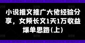 小说推文推广大佬经验分享，女频长文1天1万收益爆单思路(上)-网创资源站