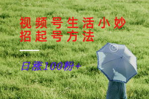 视频号生活小妙招分享赛道， 起号涨粉新方法，日涨100粉-网创资源站