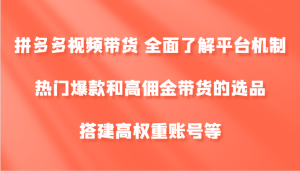 拼多多视频带货 全面了解平台机制、热门爆款和高佣金带货的选品,搭建高权重账号等-网创资源站
