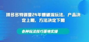 拼多多特训营24年爆破流玩法,产品决定上限,方法决定下限,各种玩法技巧落地实操-网创资源站