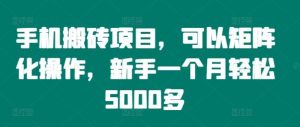 手机搬砖项目,可以矩阵化操作,新手一个月轻松5000多-网创资源站
