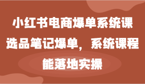 小红书电商爆单系统课-选品笔记爆单，系统课程，能落地实操-网创资源站
