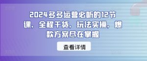 2024多多运营必听的12节课，全程干货，玩法实操，爆款方案尽在掌握-网创资源站