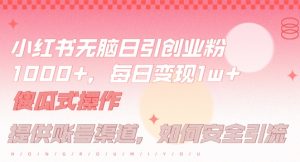 小红书无脑每日引流创业粉500+，小白每天只花半小时，躺赚长尾收益【揭秘】-网创资源站