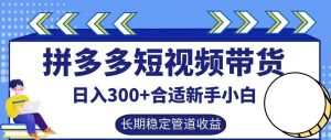 拼多多短视频带货日入300+有长期稳定被动收益，合适新手小白【揭秘】-网创资源站