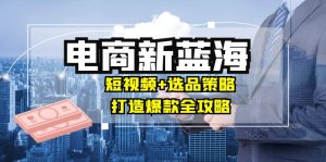 商家必看电商新蓝海：短视频+选品策略，打造爆款全攻略，月入10w+-网创资源站