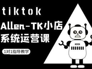 TK小店系统运营课-tiktok跨境电商教程-网创资源站