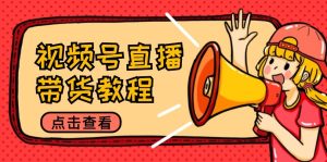 视频号直播带货教程：选品思路与话术拆解/掌握多种带货套路/提升直播效果-网创资源站