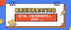 （13672期）最新出海掘金冷门项目，单号日入1000+-网创资源站