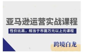 亚马逊运营实战课程，亚马逊从入门到精通，性价比高，相当于市面万元以上元课程-网创资源站