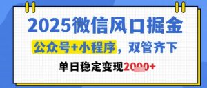 2025微信风口掘金，公众号+小程序双管齐下，单日稳定变现1k+【揭秘】-网创资源站