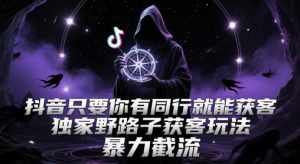 抖音只要你有同行就能获客，独家野路子获客玩法，暴力截流【揭秘】-网创资源站