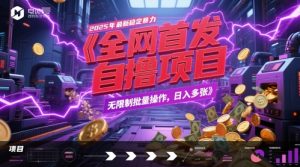 全网首发，2025年最新稳定暴力全自动自撸项目，无限制批量操作，日入多张【揭秘】-网创资源站