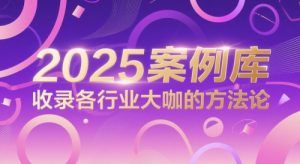 2025案例库，收录各行业大咖的方法论-网创资源站