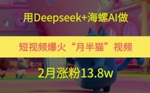 用Deepseek+海螺AI做短视频爆火“月半猫”视频，2月涨粉13.8w-网创资源站