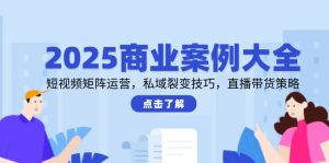 2025商业案例大全,短视频矩阵运营,私域裂变技巧,直播带货策略-网创资源站