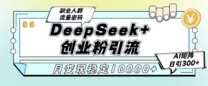 DeepSeek+创业粉精准引流，全新分享课4.0玩法，AI矩阵日引300+，多种变现方式，稳定月入1W-网创资源站