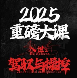 2025重磅大课，入世2，驾驭与控制-网创资源站