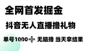 全网首发掘金抖音无人直播撸礼物，单号1k +无脑撸，当天拿结果【揭秘】-网创资源站
