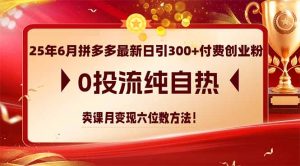25年6月拼多多最新日引300+付费创业粉,0投流纯自热 卖课月变现六位数方法-网创资源站