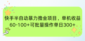 快手半自动暴力撸金项目，单机收益60-100+可批量操作单日300+-网创资源站