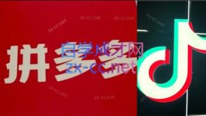 老陶电商·拼多多+抖音小店无货源开店-网创资源站