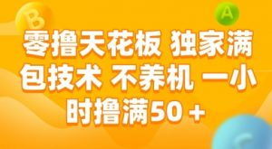零撸天花板，独家满包技术 不养机 一小时撸满50+【揭秘】-网创资源站
