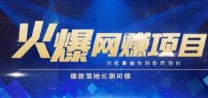 火爆全自动搬砖项目，可批量矩阵操作，爆款落地长期可做【揭秘】-网创资源站