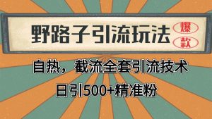 2024首发野路子引流玩法截流自热全平台打法，全自动引流【日引2000+精准客户】-网创资源站