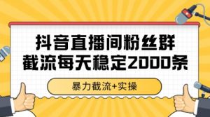 抖音直播间粉丝群暴力截流,一台电脑每天稳定2000条数据【揭秘】-网创资源站
