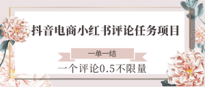 抖音电商小红书评论任务项目,一个评论0.5,一单一结 不限量-网创资源站