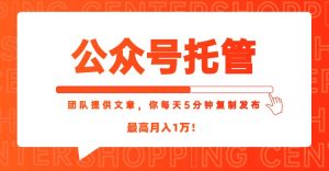 【公众号托管 】我提供文章，你每天５分钟复制发布，最高月入1W-网创资源站