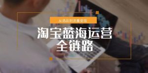 淘宝蓝海运营全链路,从选品到流量变现,小类目突围完整方案-网创资源站