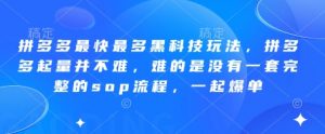 拼多多最快最多黑科技玩法,拼多多起量并不难,难的是没有一套完整的sop流程,一起爆单(更新6月)-网创资源站