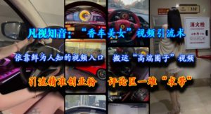 凡视知音:“香车美女”视频引流术,依靠鲜为人知的视频入口,搬运“高端圈子”视频,引流精准创业粉,评论区一堆“求带”-网创资源站