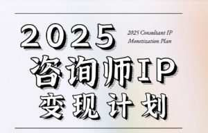 党老师·7天构建咨询师变现系统-网创资源站