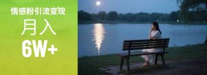 情感粉引流变现实操课:单月变现6w+,情感粉引流变现实操课-网创资源站