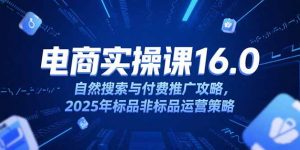 淘宝电商运营课16.0,自然搜索与付费推广攻略,2025年标品非标品运营策略-网创资源站