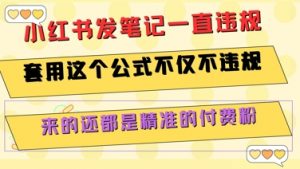 小红书发笔记一直违规,套用这个公式不仅不违规,来的还都是精准的付费粉-网创资源站