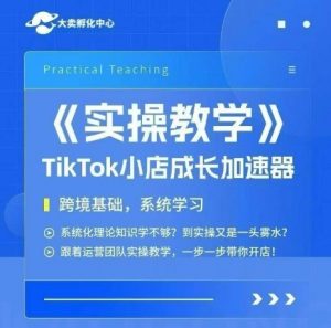 大卖家孵化中心TikTok实操课,TikTok小店成长加速器,跨境基础系统学习,一步一步带你开店-网创资源站