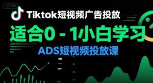 Tiktok短视频广告投放,适合0-1小白学习ADS短视频投放课-网创资源站