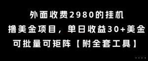 外面收费2980的挂G撸美金项目，单日收益30+美金，可批量可矩阵【揭秘】-网创资源站