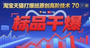 淘宝天猫打爆班原创高阶技术第70期：标品干爆-网创资源站