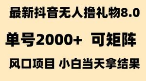 抖音无人撸礼物8.0玩法 全新风口 见效果快 全无人 单号当天产出2000+-网创资源站